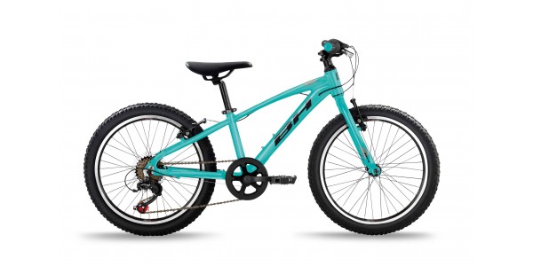 BH EXPERT JUNIOR  20" (več barv)